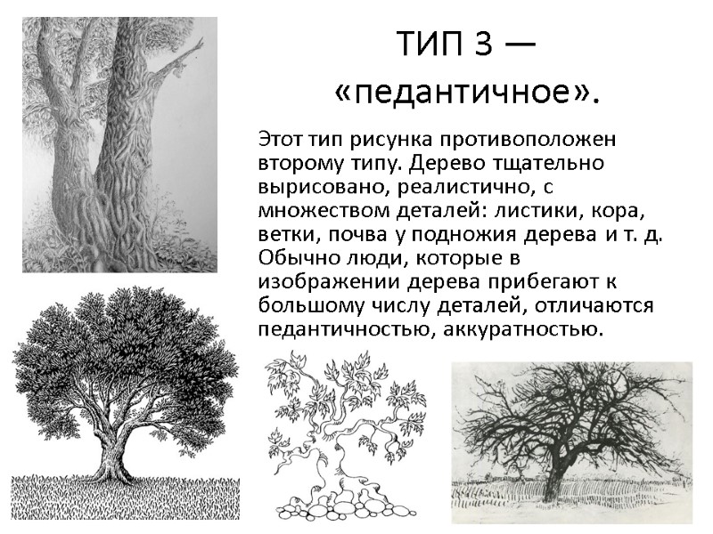 ТИП 3 — «педантичное».  Этот тип рисунка противоположен второму типу. Дерево тщательно вырисовано,